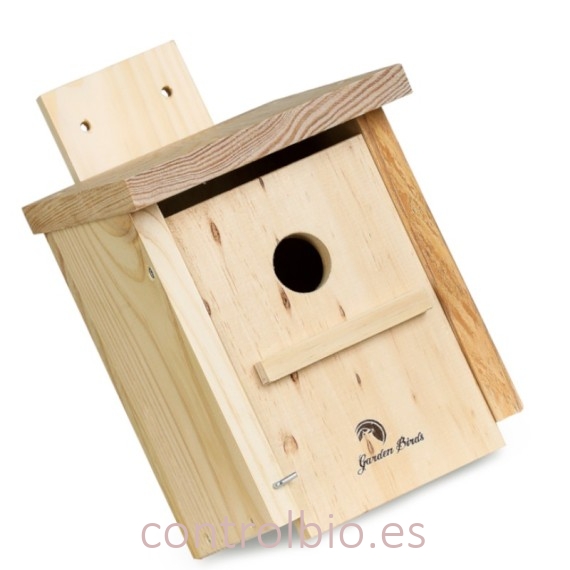 CAJA NIDO INSECTÍVORAS para pared