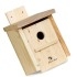 CAJA NIDO INSECTÍVORAS para pared