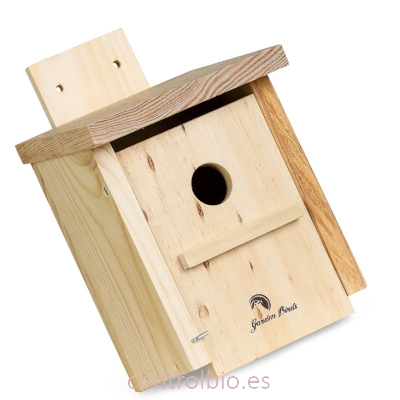 CAJA NIDO INSECTÍVORAS para pared