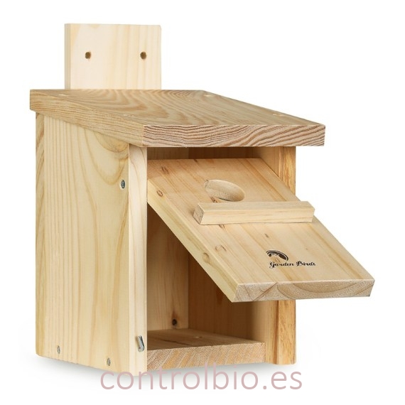 CAJA NIDO INSECTÍVORAS para pared
