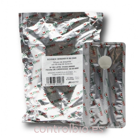 CERAMBYX Taladro de la encina Atrayente especial