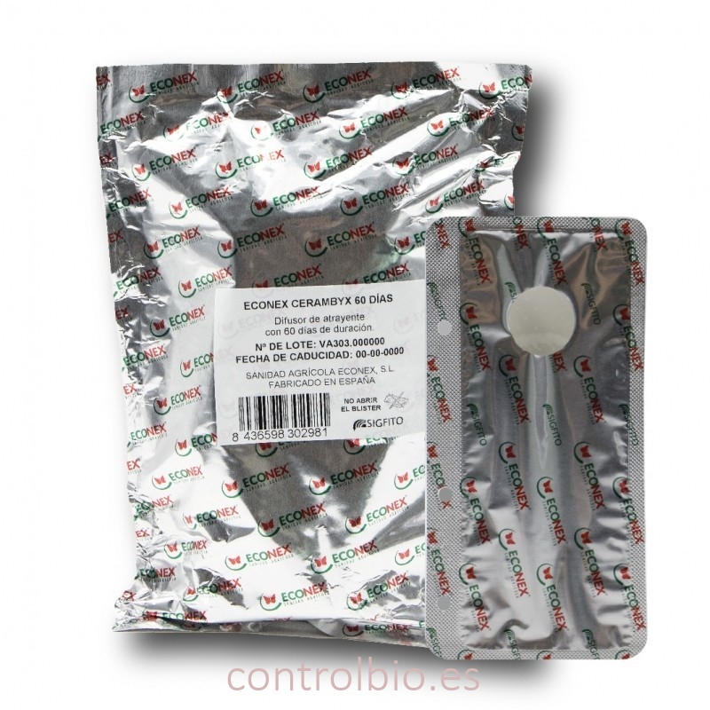 CERAMBYX Taladro de la encina Atrayente especial