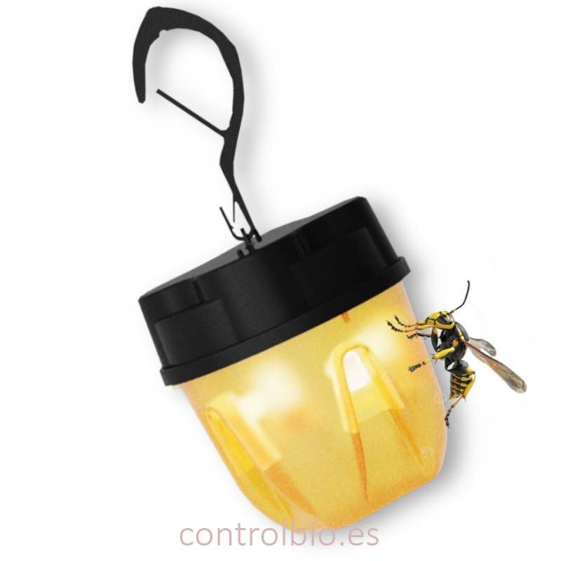 VISPASAN® trampa de avispas (x 2 Ud)
