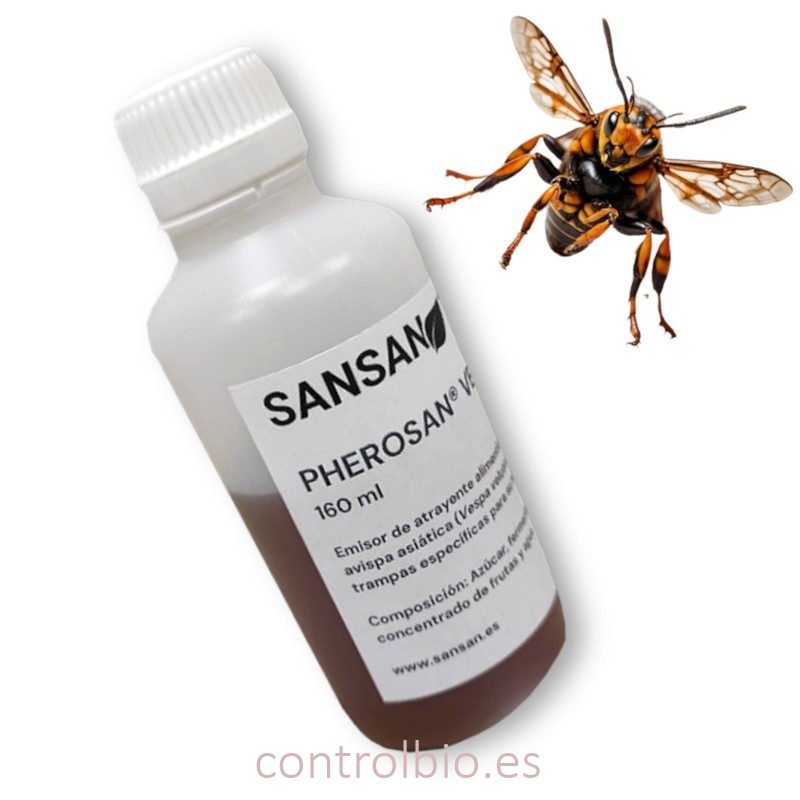 PHEROSAN® VESPA atrayente de vespa velutina y otras avispas