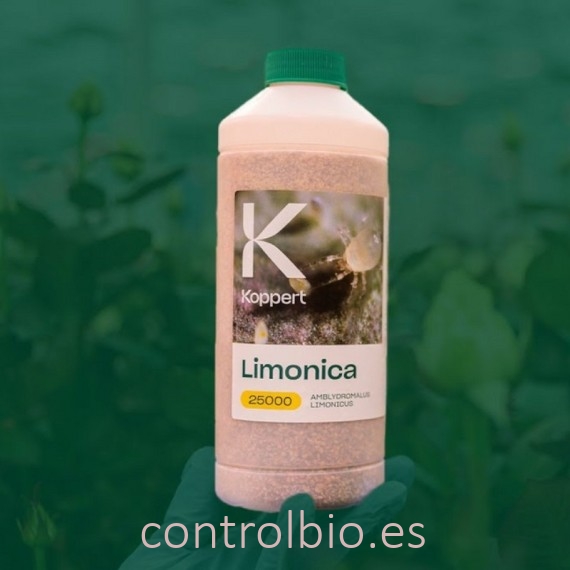 LIMONICA 25.000 depredador de trips y mosca blanca