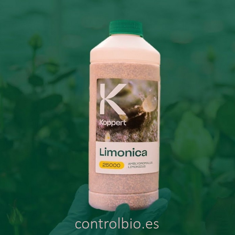 LIMONICA 25.000 depredador de trips y mosca blanca