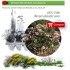 NERIUM OLEANDER (Adelfa enana) BVX40 Ud.