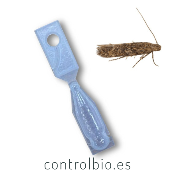 TUTATEC difusor de confusión sexual para Tuta