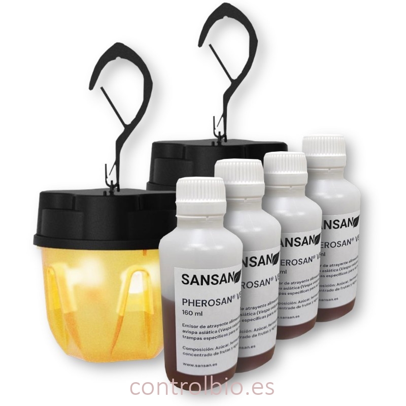 VISPASAN kit de trampeo para avispas y avispones
