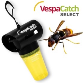 VESPACATCH SELECT captura selectiva para avispones