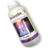 RHIZOBEST 1L enraizante