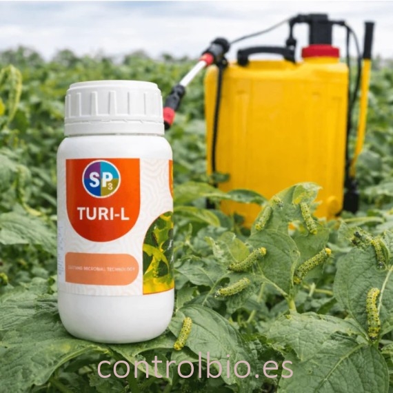 TURI L micorrizas con Bacillus thuringiensis (efecto larvicida) 250 ml