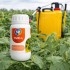 TURI L micorrizas con Bacillus thuringiensis (efecto larvicida) 250 ml