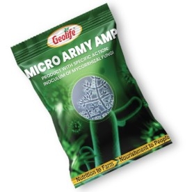 MICRO ARMY AMP (Ampelomyces ssp.)