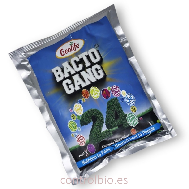 BACTOGANG 24 cóctel biofertilizante de alto rendimiento
