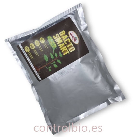 BACTO SMART endófitos beneficiosos