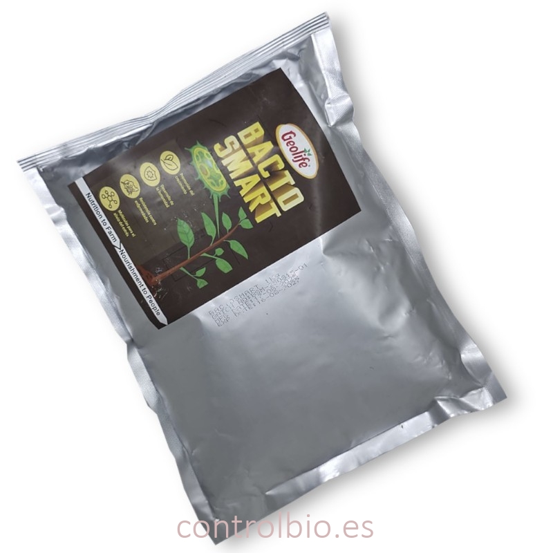 BACTO SMART endófitos beneficiosos