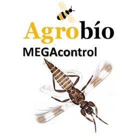 MEGAcontrol 1.000 u. Agrobío | Depredador de Trips Parvispinus