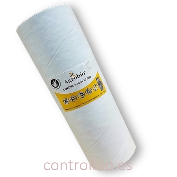 limonicontrol-12500-agrobio-amblydromalus-limonicus