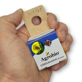 COROLAcontrol 100 pupas de Agrobío (Eupeodes corollae)