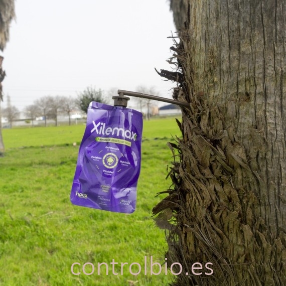 Abono de Endoterapia Xilemax CE (Fertinyect)