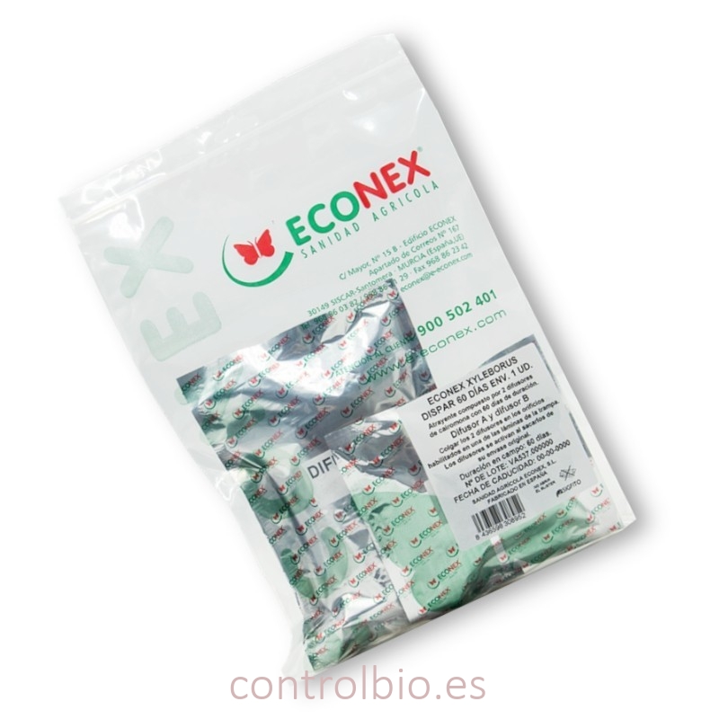 Xyleborus dispar feromonas 60 días