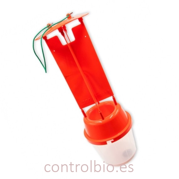 ESCOLITRAP® ROJA BASE TRANSPARENTE