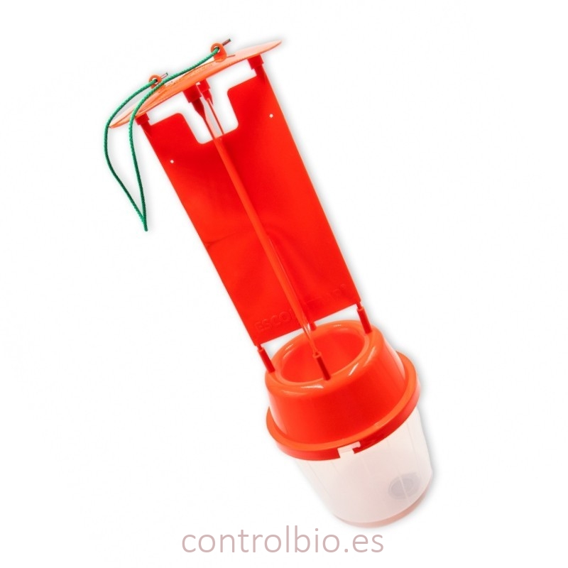 ESCOLITRAP® ROJA BASE TRANSPARENTE