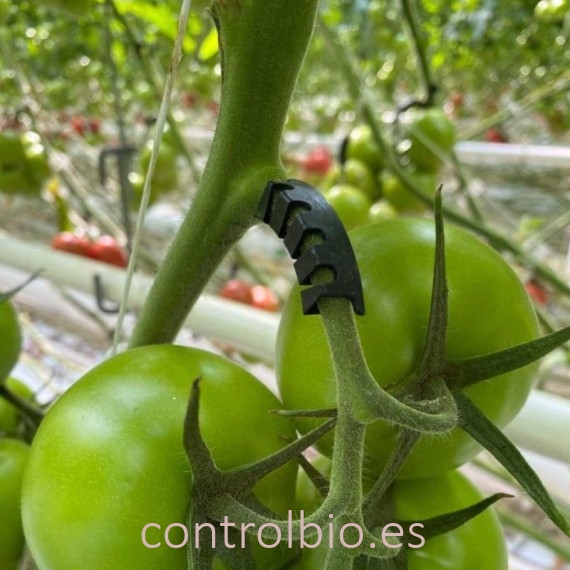 ARCO DE SOPORTE PARA RACIMOS NEGRO (x10.000)