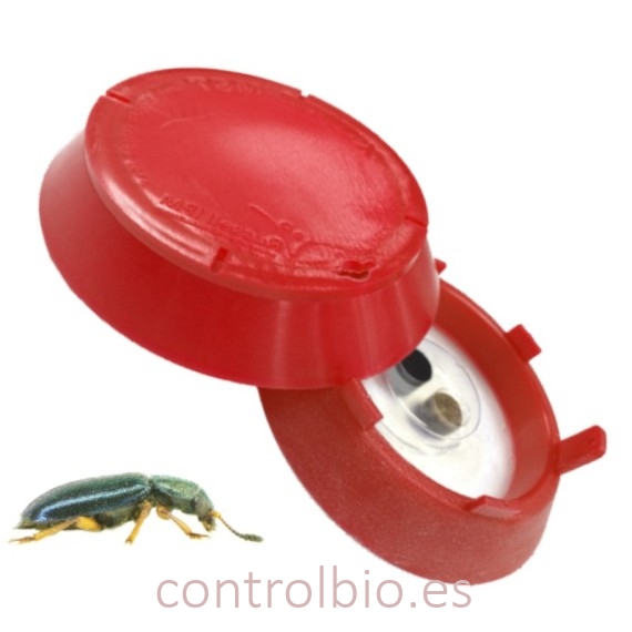 TRAMPA XLURE HHB para escarabajo del jamón