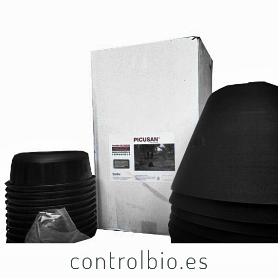 PICUSAN X 12 Ud formato profesional