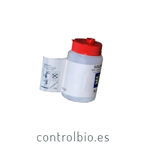SOLANIPAR Leptomastix algirica