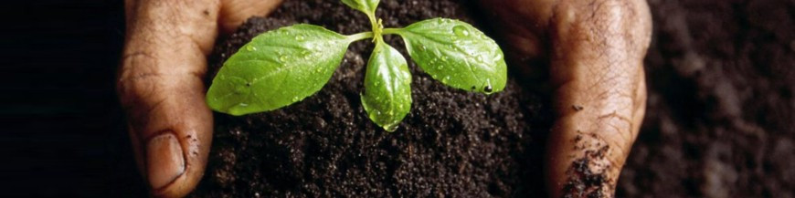 abono organico ecologico