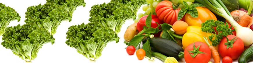 Difusores de feromona para cultivos hortícolas