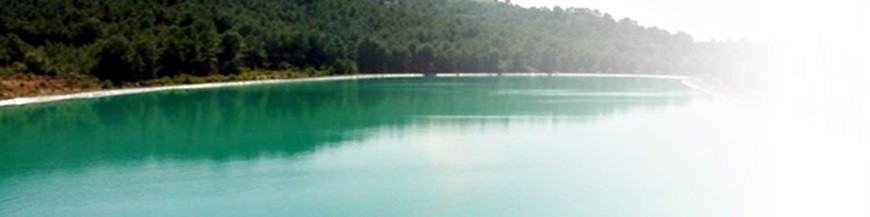 Control biologico de algas en balsas de agua para riego
