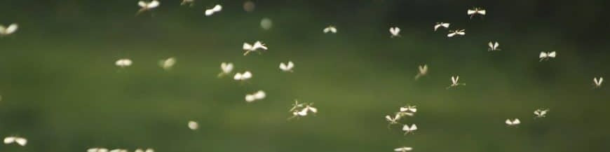 Repelentes de insectos