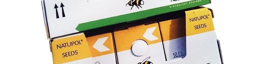 Colmenas especiales de abejorros polinizadores