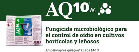 comprar AQ10 bio fungicida anti oídio