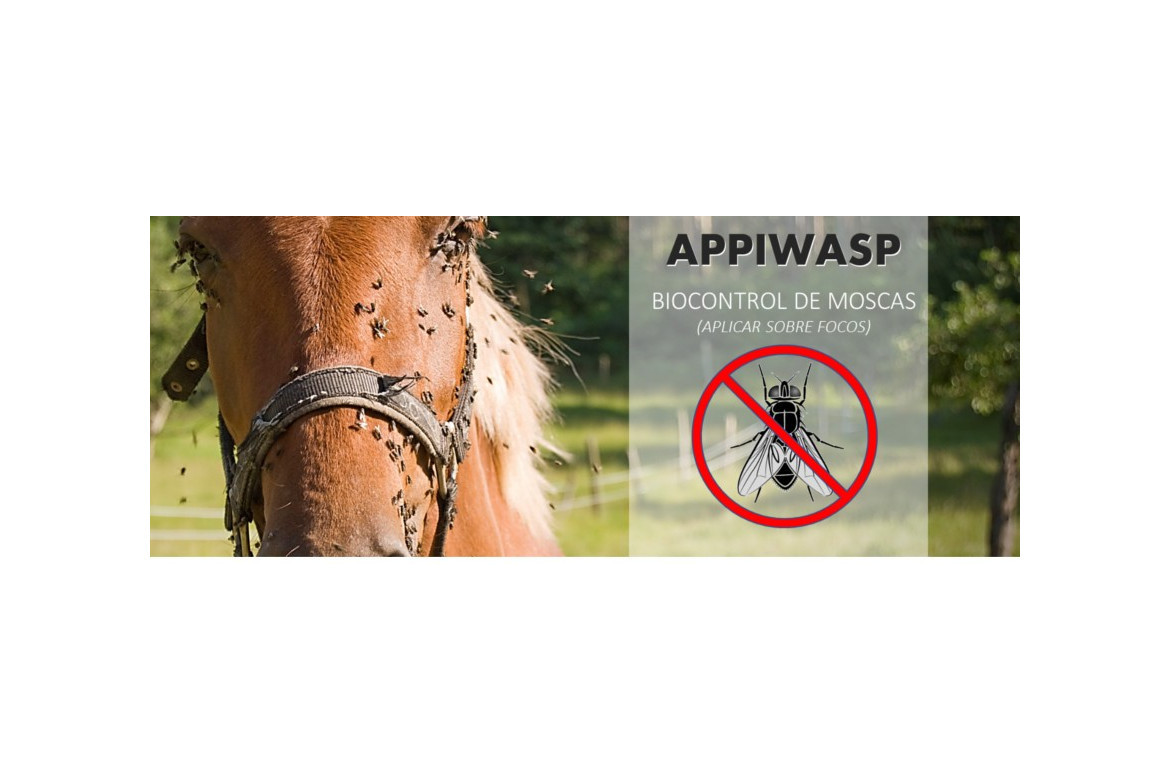 Sistema APPIWASP El modo natural de controlar las moscas