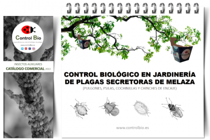Control Biológico en  jardinería de plagas secretoras de melaza