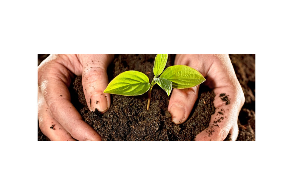 Dispensador Eco para sustancias en polvo - Grow Barato