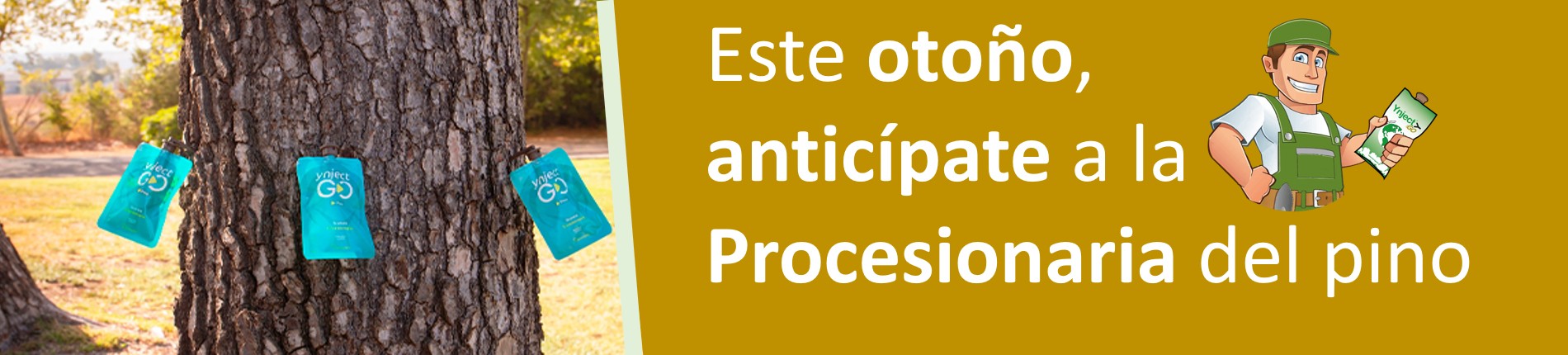 Este septiembre, anticípate a la Procesionaria del pìno