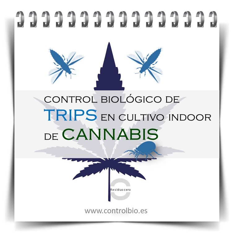 guía de trips