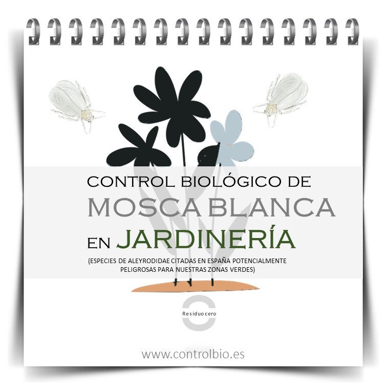 Control biológico mosca blanca en jardinería