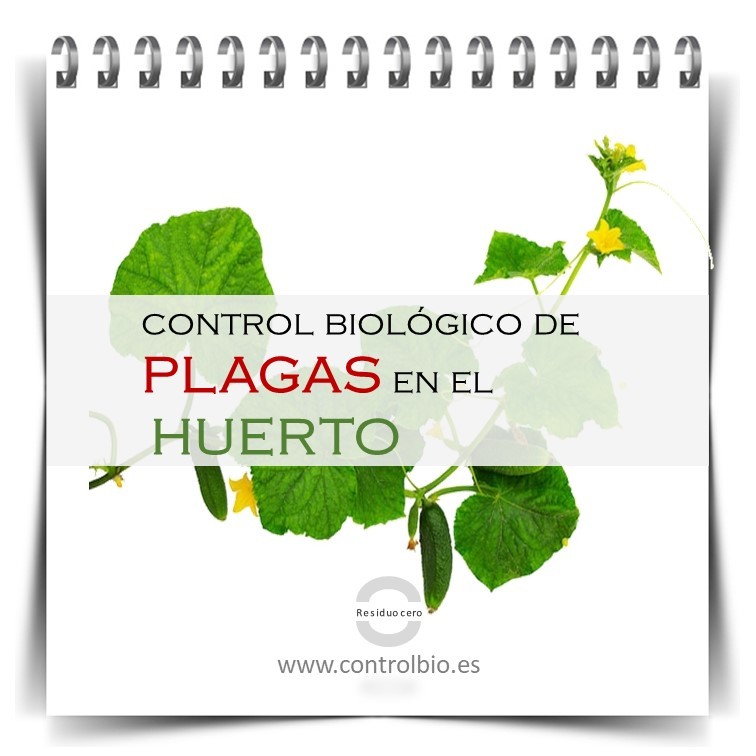 Control biológico huertos urbanos